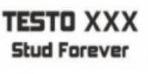 Testo XXX Stud Forever