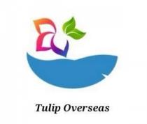 TULIP OVERSEAS