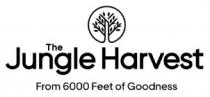 The Jungle Harvest From 6000 feet of Goodness