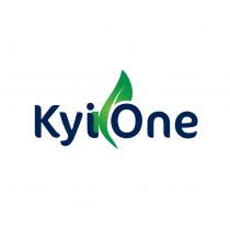 KyiOne