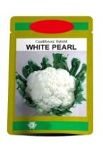 CAULIFLOWER HYBRID WHITE PEARL