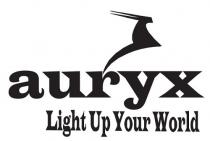Auryx light up your world