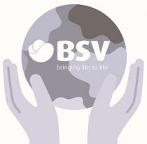 BSV Ã¢ÂÂ BRINGING LIFE TO LIFE