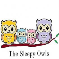 The Sleepy Owls