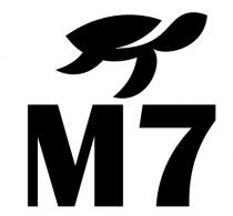 M7 OF TORTOISE