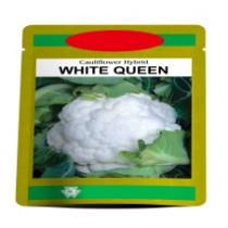 Cauliflower Hybrid WHITE QUEEN