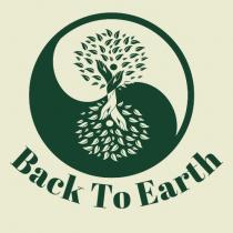 Back To Earth