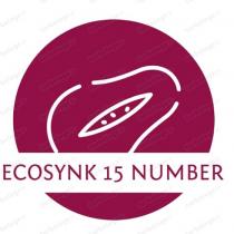 ECOSYNK 15 NUMBER
