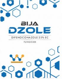 BIJA DZOLE