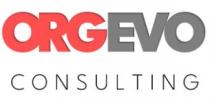 orgevo consulting