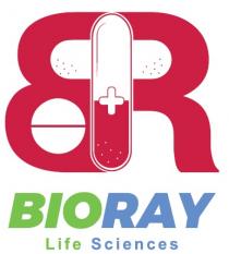 BIORAY LIFE SCIENCES