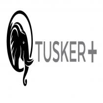 TUSKER +