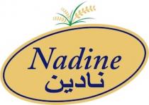 Unique Logo for Nadine