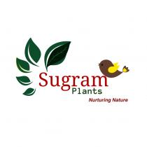 Sugram Plants