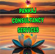 PANKAJ CONSULTANCY SERVICES