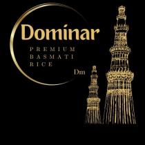 DOMINAR OF DM