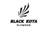 BLACK KOTA PLYWOOD