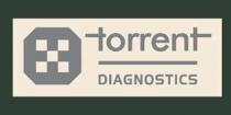 TORRENT DIAGNOSTICS
