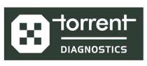 TORRENT DIAGNOSTICS