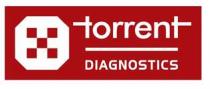 TORRENT DIAGNOSTICS