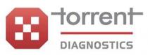 TORRENT DIAGNOSTICS