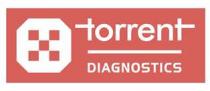 TORRENT DIAGNOSTICS