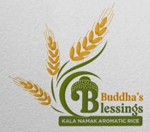 Buddha's Blessings Kala Namak Aromatic Rice