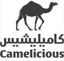 Camelicious, its Arabic script &