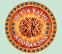 DIVYA KASHI RUDRAKSHA