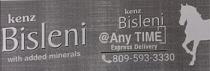 KENZ BISLENI -