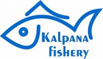 KALPANA FISHERY