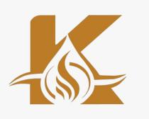 KINGS GAS PRIVATE LIMITED