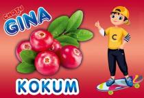 CHOTU GINA KOKUM