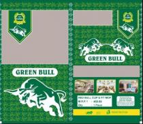 E2 GLOBAL - GREEN BULL
