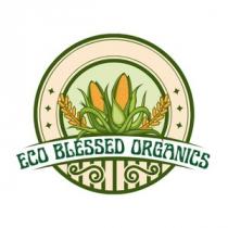 Eco Blessed Organics