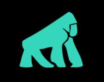DIGITAL KONG