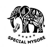 SPECIAL MYSORE