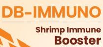 DB-IMMUNO