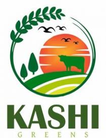 KASHI GREENS