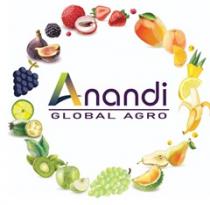 Anandi Global Agro