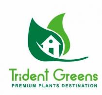 Trident Greens Premium Plants Destination