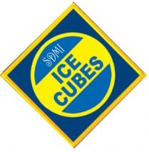 SDMI ICE CUBES