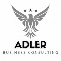 ADLER BUSINESS CONSULTING