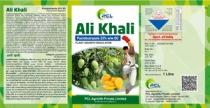 Ali Khali