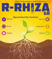 R-RHIZA GR