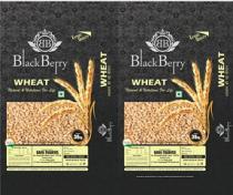 BB BLACK BERRY