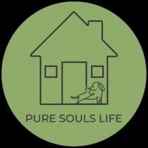 PURE SOULS LIFE