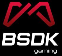 BSDK gaming