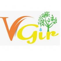 VGIR