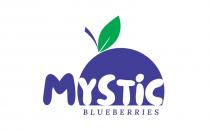 MYSTIC BLUEBERRIES